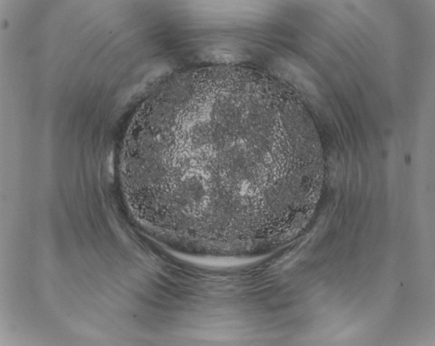 X0000088590358200705251155