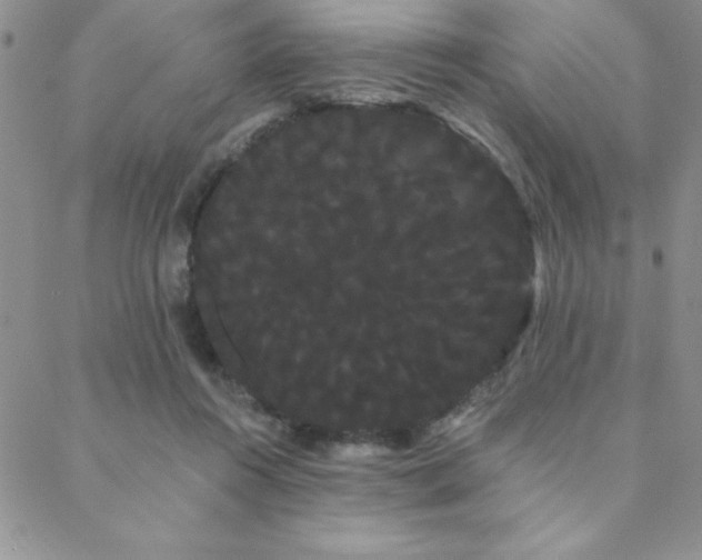 X0000088590360200705251155