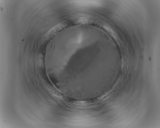 X0000088590361200705251155