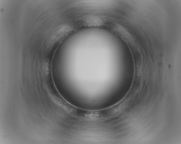 X0000088590362200705251155