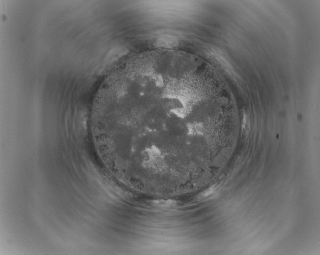 X0000088590363200705251155