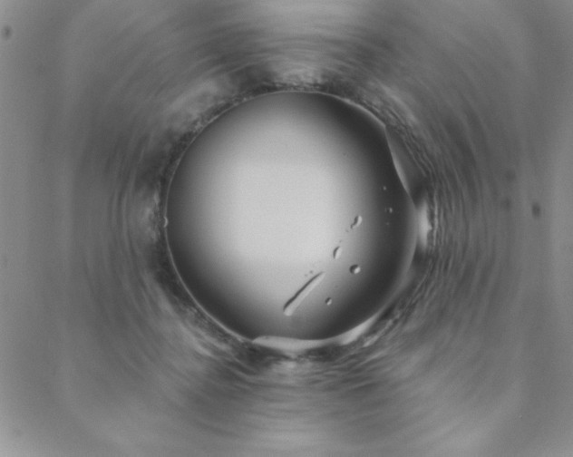 X0000088590364200705251155