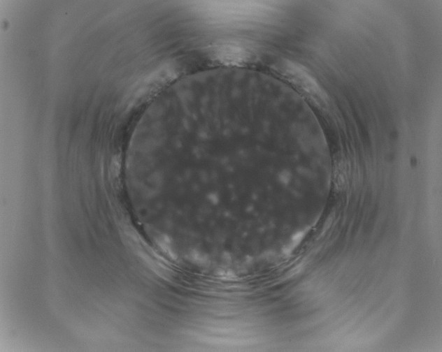 X0000088590365200705251155