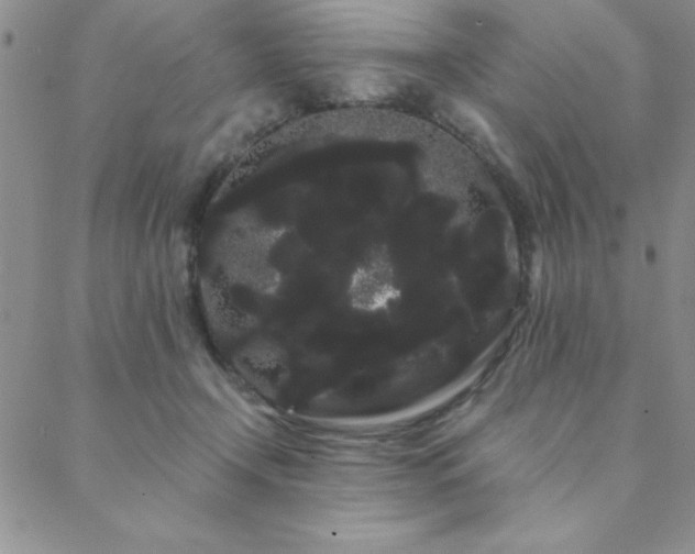 X0000088590366200705251155