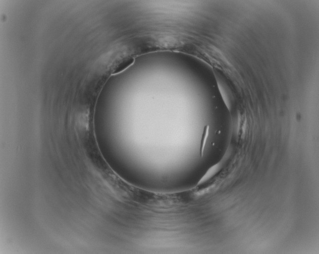 X0000088590368200705251155