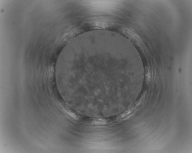 X0000088590369200705251155