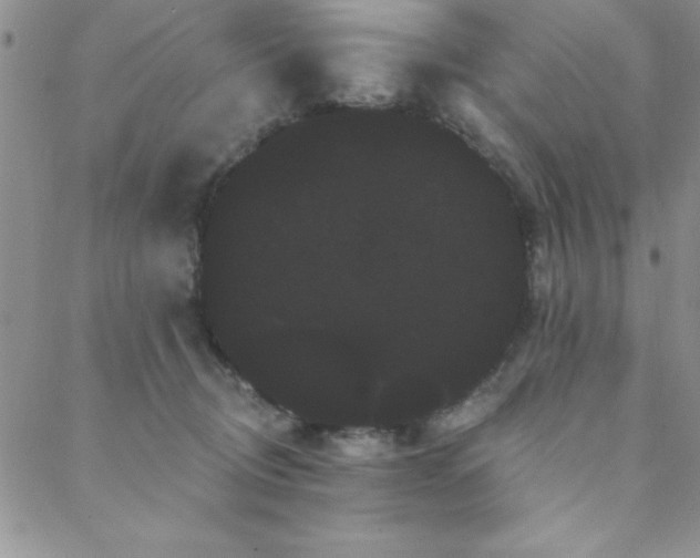 X0000088590370200705251155