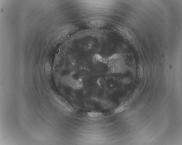 X0000088590371200705251155