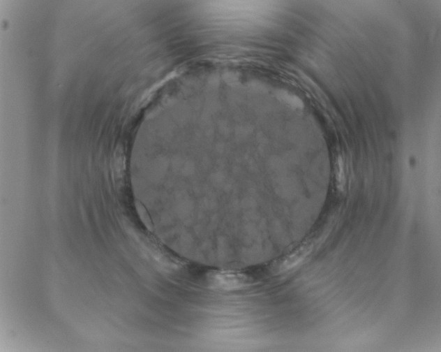 X0000088590372200705251155