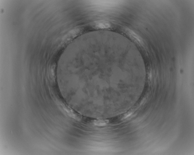 X0000088590373200705251155