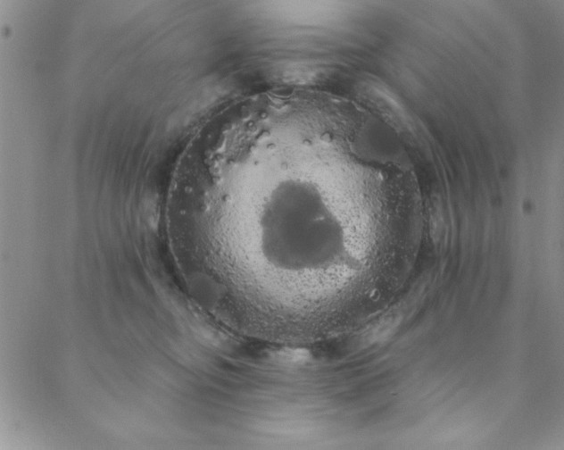 X0000088590374200705251155