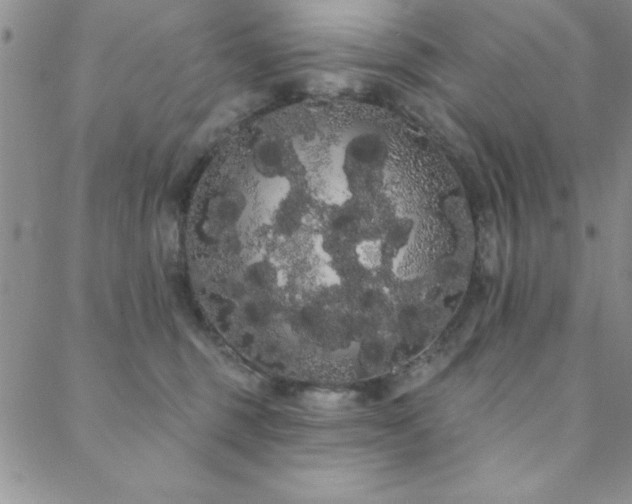 X0000088590375200705251155