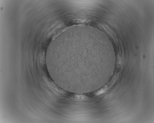 X0000088590376200705251155