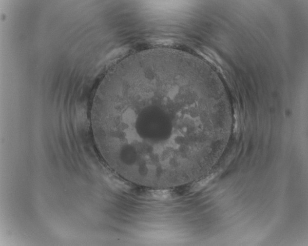 X0000088590377200705251155