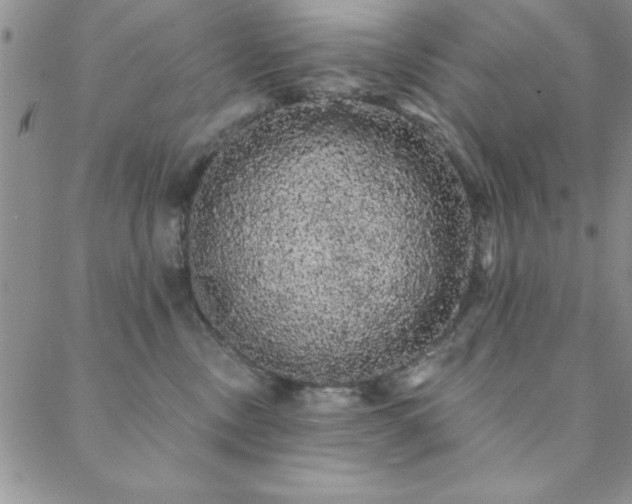 X0000088590378200705251155