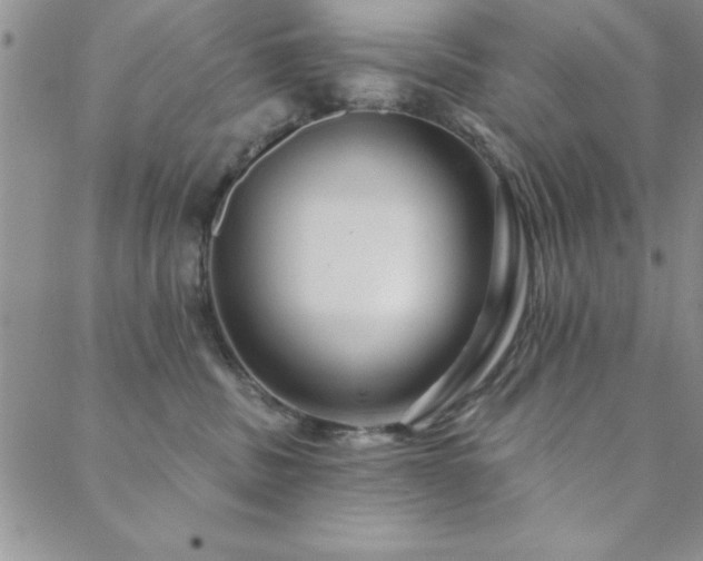 X0000088590379200705251155