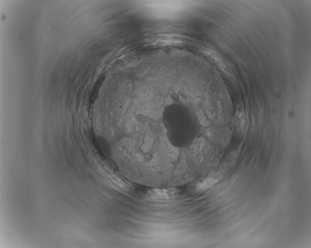 X0000088590381200705251155