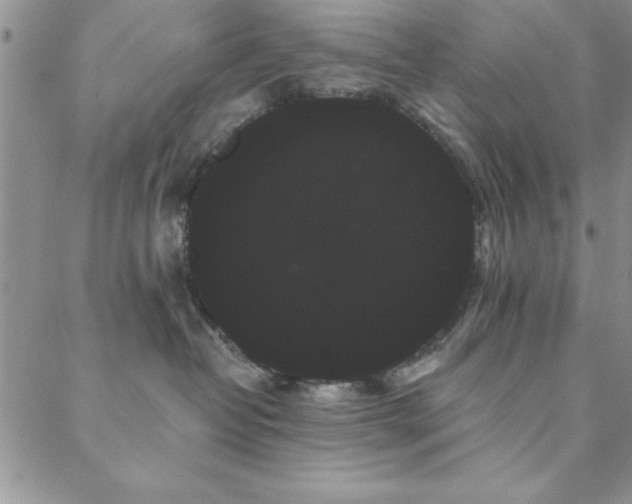 X0000088590382200705251155