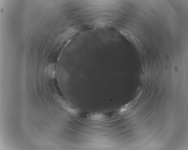 X0000088590383200705251155