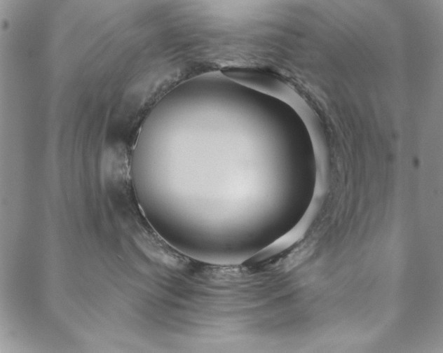 X0000088590384200705251155