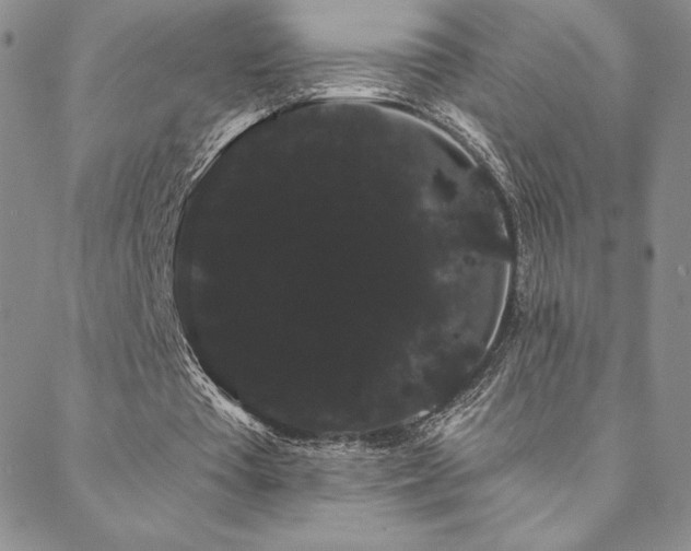 X0000088590385200705251154