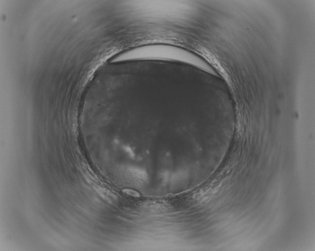 X0000088590386200705251154