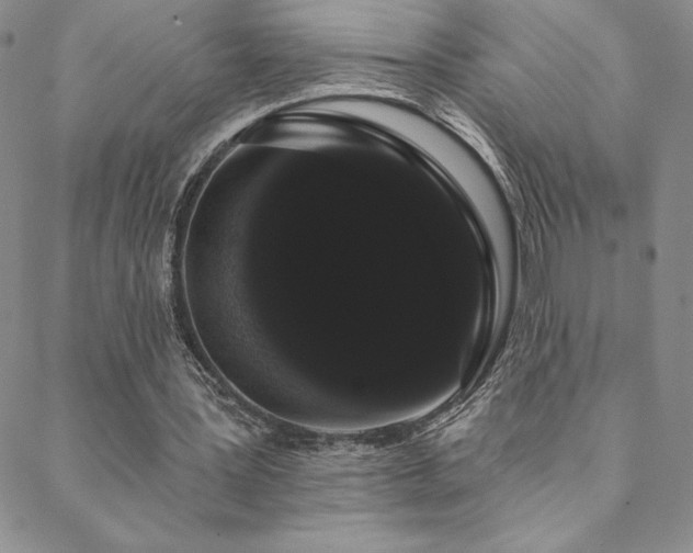 X0000088590387200705251154