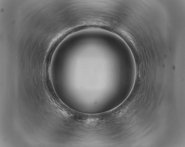 X0000088590388200705251154