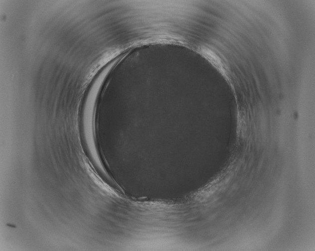 X0000088590389200705251154