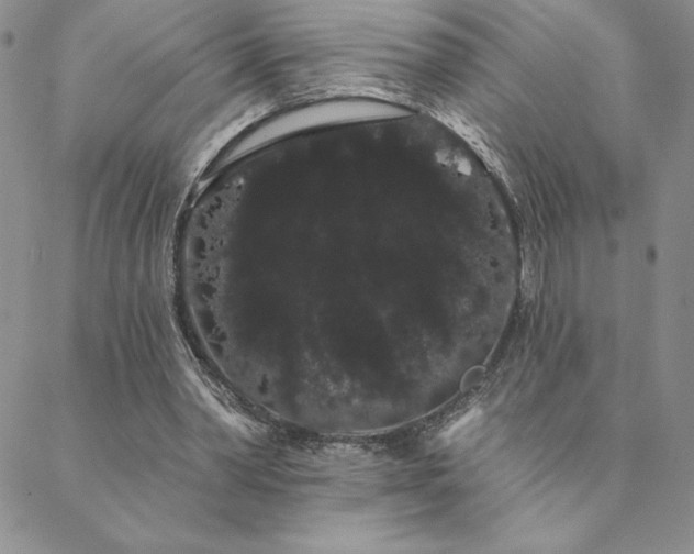 X0000088590390200705251154