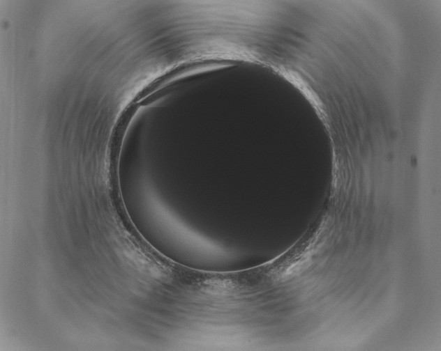 X0000088590391200705251154