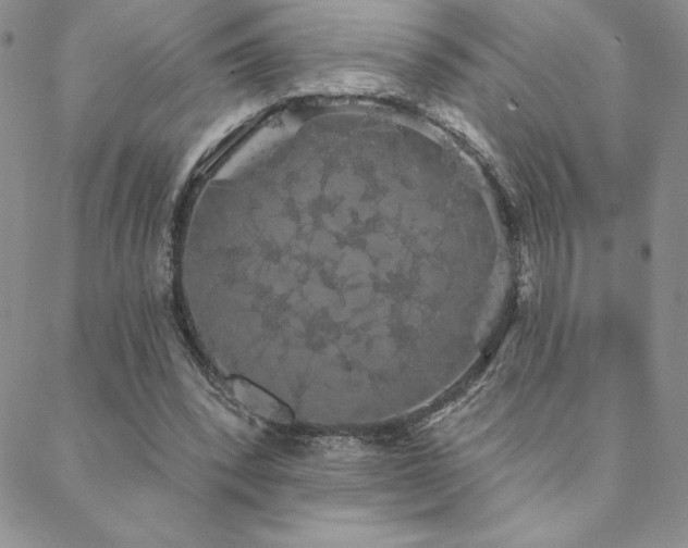 X0000088590392200705251154