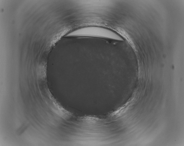 X0000088590393200705251154