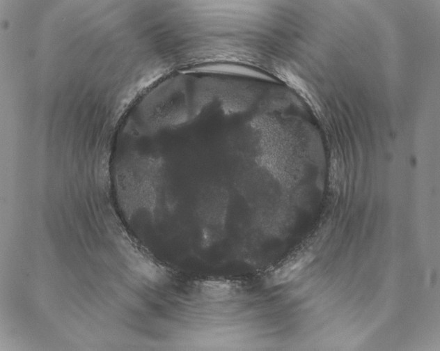 X0000088590394200705251154