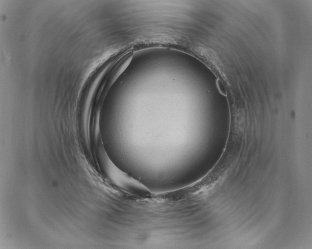 X0000088590395200705251154