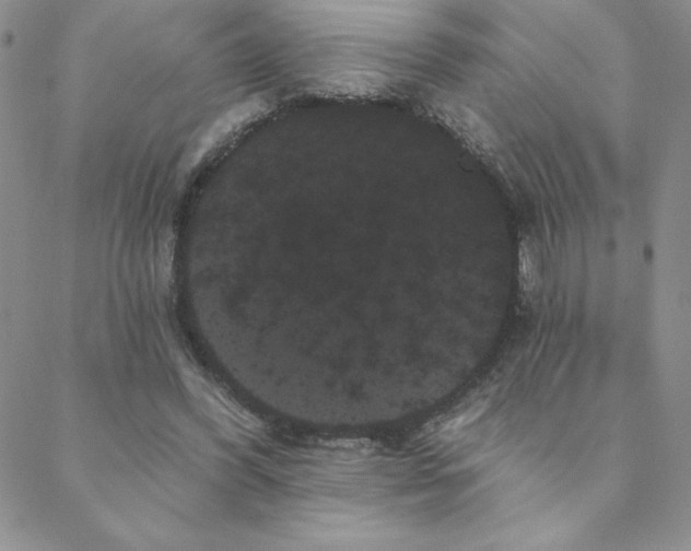 X0000088590396200705251154