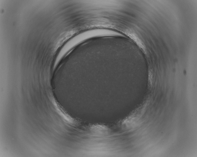 X0000088590397200705251154