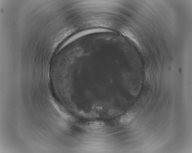 X0000088590398200705251154