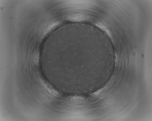 X0000088590400200705251154