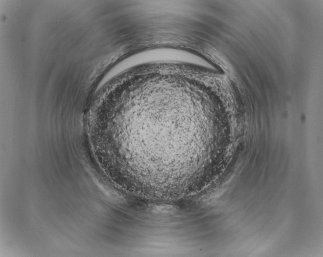 X0000088590401200705251154