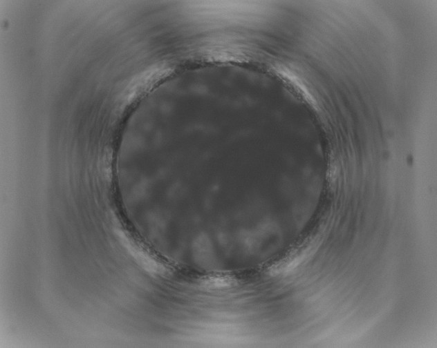 X0000088590402200705251154