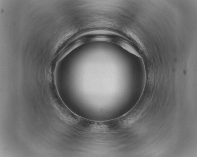 X0000088590403200705251154