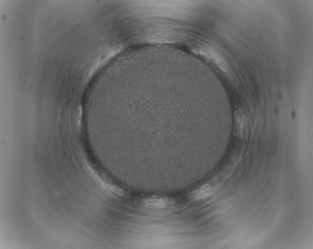 X0000088590404200705251154