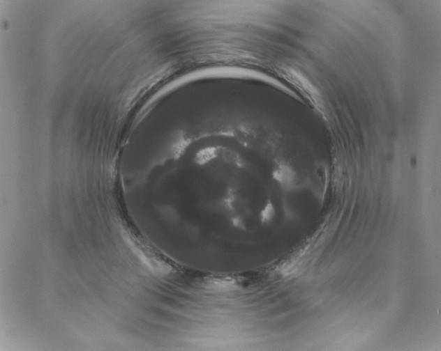 X0000088590405200705251154