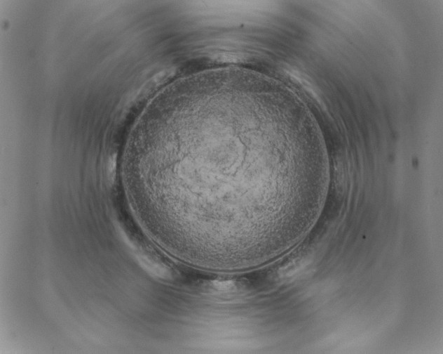 X0000088590406200705251154