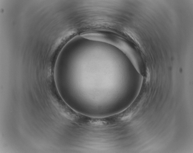 X0000088590407200705251154