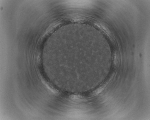 X0000088590408200705251154