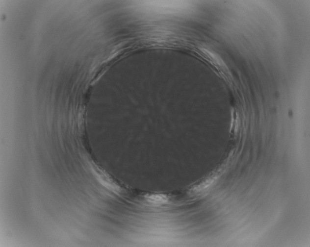 X0000088590409200705251154