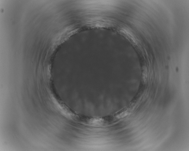 X0000088590410200705251154