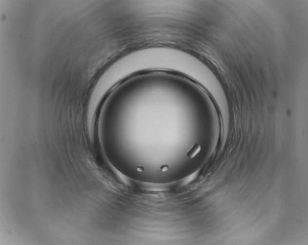 X0000088590411200705251154